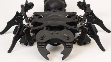 Prezentacja robotów 2009 roku inspirowanych insektami [wideo] 1