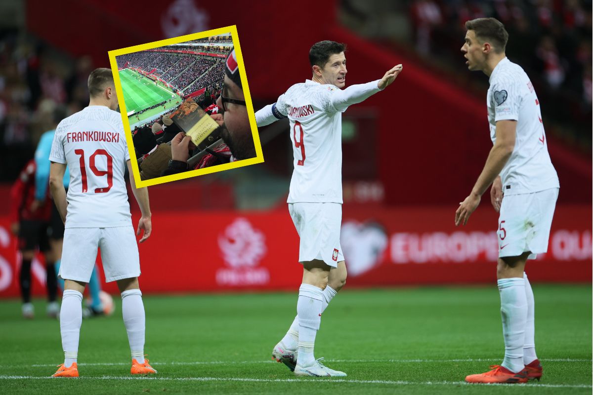 Nuda na meczu Polska - Albania? Zobacz, co wymyślił kibic na stadionie