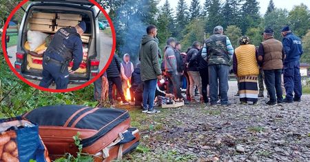Rumuńscy zbieracze "czeszą" polskie lasy. Zmasowana akcja służb na Podkarpaciu