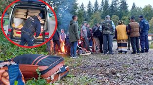 Rumuńscy zbieracze "czeszą" polskie lasy. Zmasowana akcja służb na Podkarpaciu