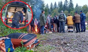Rumuńscy zbieracze "czeszą" polskie lasy. Zmasowana akcja służb na Podkarpaciu