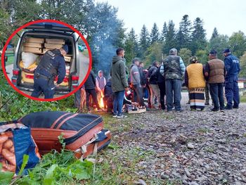 Rumuńscy zbieracze "czeszą" polskie lasy. Zmasowana akcja służb na Podkarpaciu
