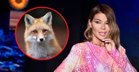 Lis wszedł do domu Edyty Górniak. Powiedziała, co stało się później