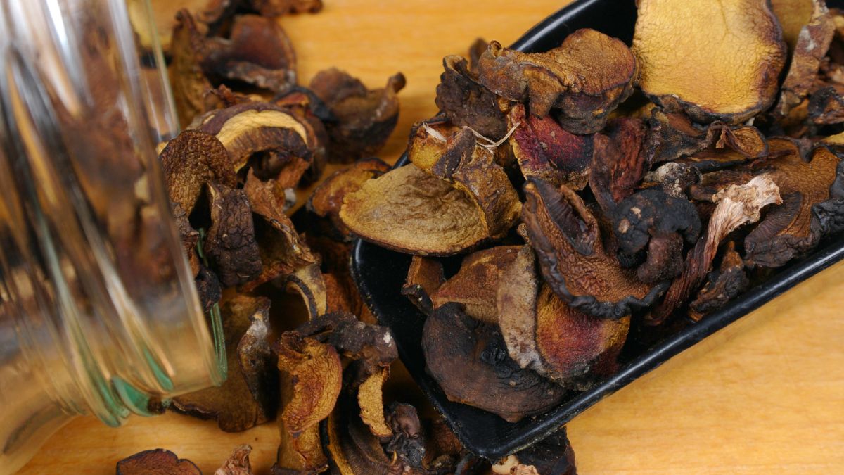 ZObacz, jak suszyć grzyby