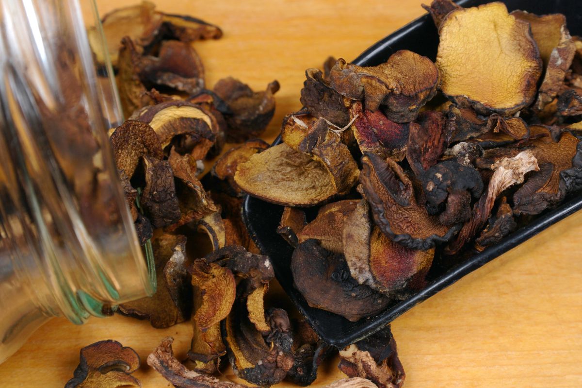 See how to dry mushrooms