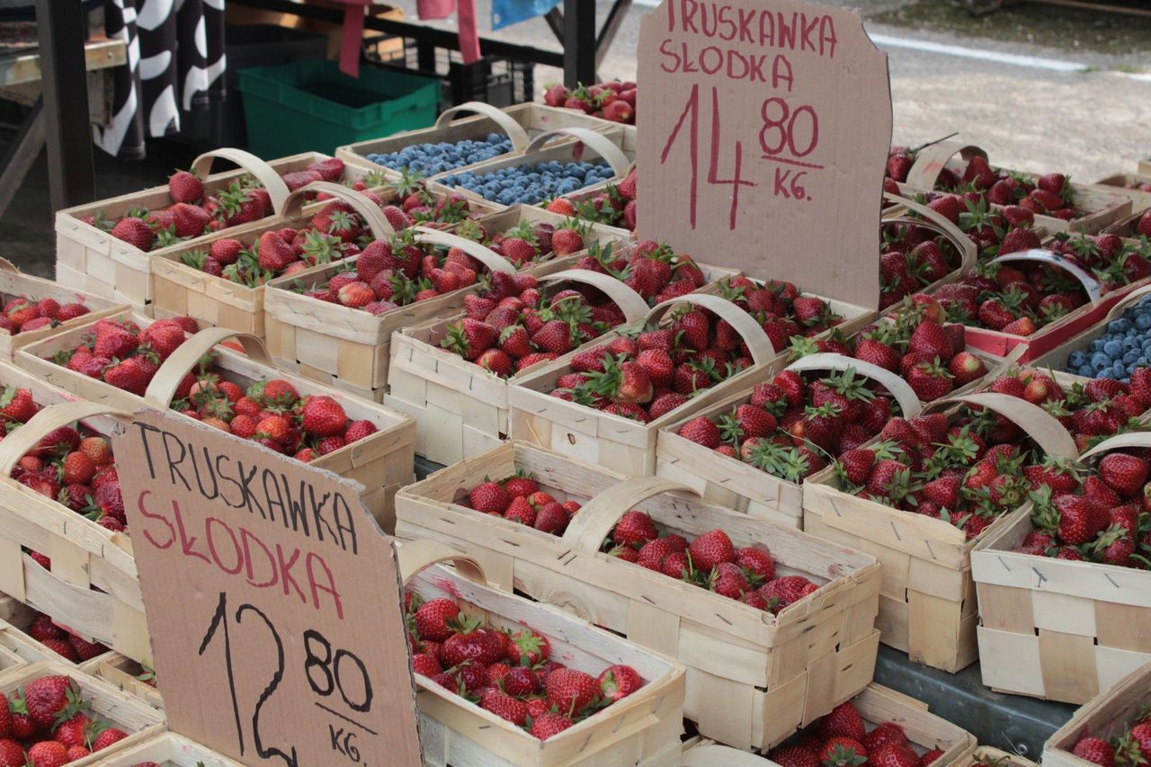 Ile kosztują truskawki? Są droższe niż w poprzednich latach?