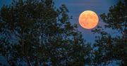 Superpełnia Truskawkowego Księżyca. Bliżej Ziemi już się nie da