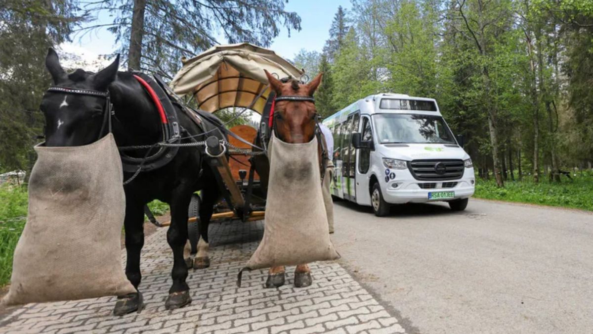 Konie zostają nad Morskim Okiem. Ekolodzy są oburzeni