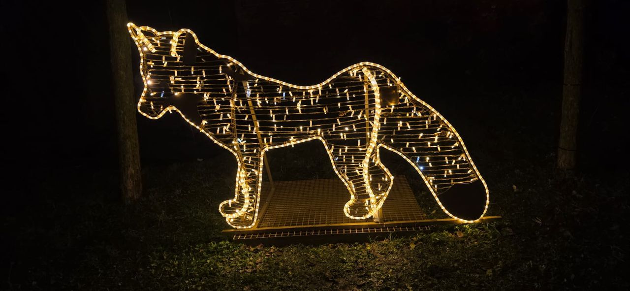 Płockie Ogrody Światła