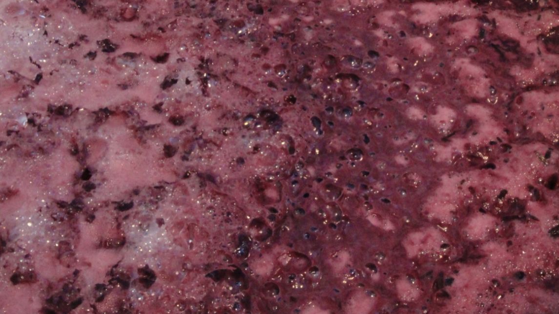 Dlaczego Francuzi rzadziej chorują na miażdżycę? To ''paradoks francuski''