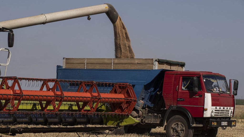 Holenderska firma czerpie ogromne zyski z handlu zbożem z Rosji?