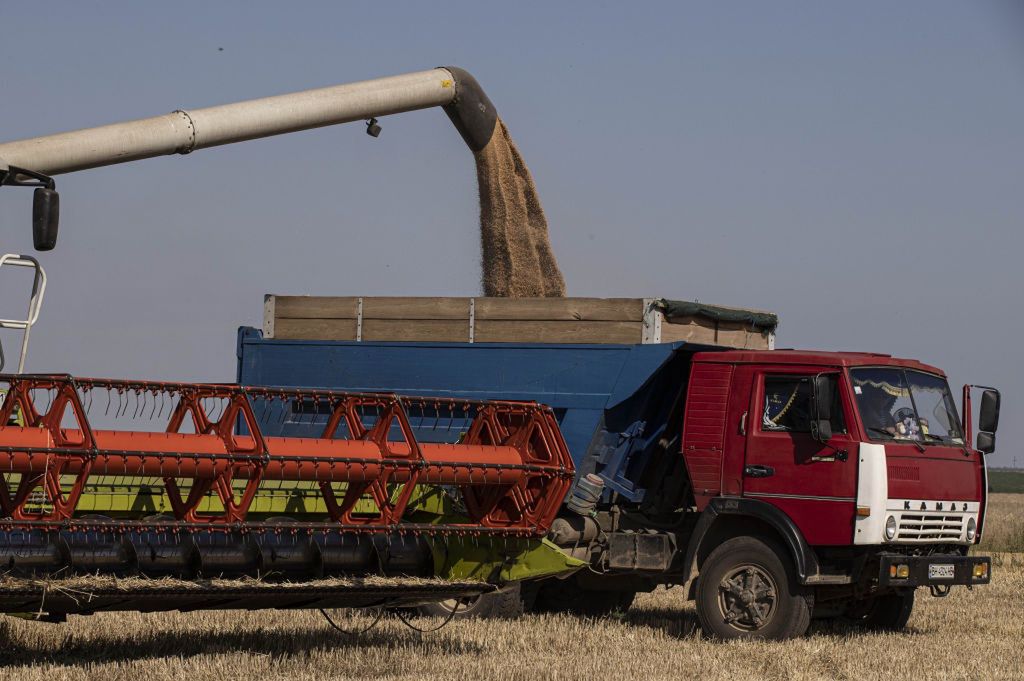 Oto list ws. zboża z Ukrainy. Pięć krajów domaga się interwencji Brukseli