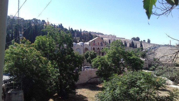 Fot. Licencjodawca