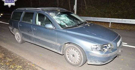Śmiertelne potrącenie pieszego w Krasnobrodzie
