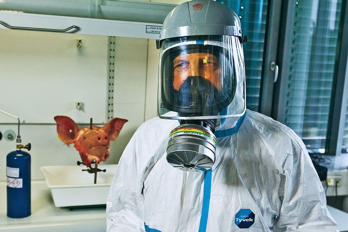 Próba na łbie świni przeprowadzona w instytucie chemii uniwersytetu monachijskiego (fot. Autobild.de)