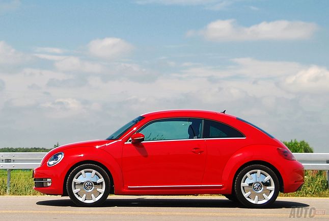 The Beetle