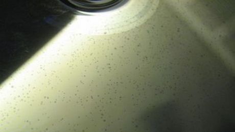 Gnijąca płyta młoda 1