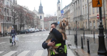 Warszawa. Niedosłyszący Ciastek zagubił się w mieście
