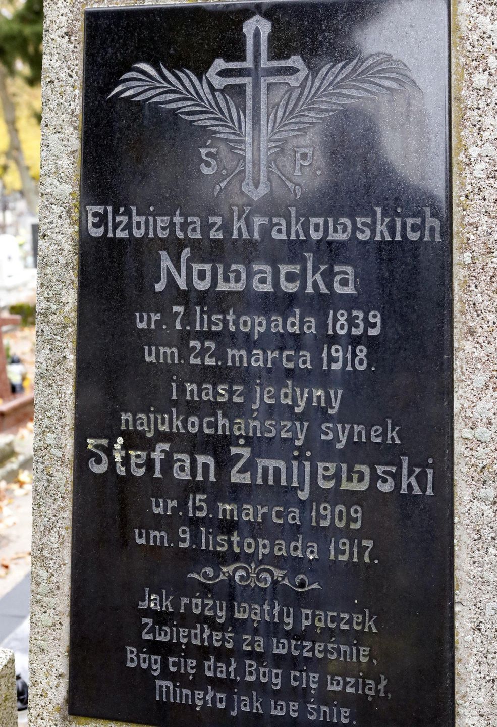 Tegoroczna kwesta na ratowanie starych, zapomnianych grobów 1 i 2 listopada w Grudziądzu