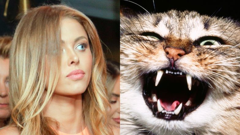 Kocia kawiarnia tłumaczy się z wyproszenia Joanny Opozdy