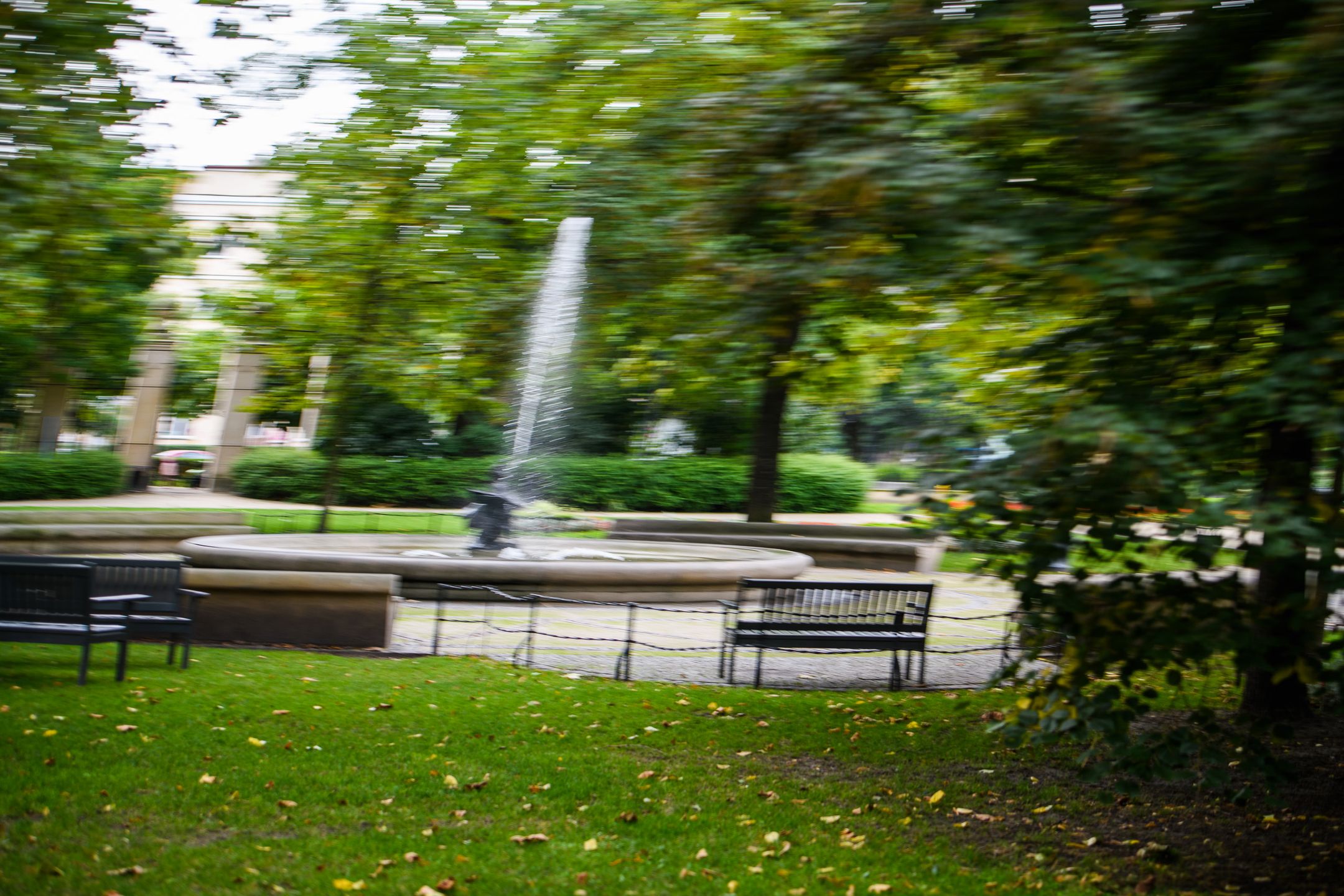 Czy Nikon D850 to rzeczywiście lustrzanka kompletna? Sprawdzamy w praktyce  [test + wideo] 80