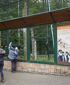 Szokująca sprawa w Gdańsku. Seksskandal w zoo