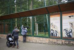 Szokująca sprawa w Gdańsku. Seksskandal w zoo