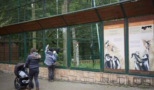 Szokująca sprawa w Gdańsku. Seksskandal w zoo