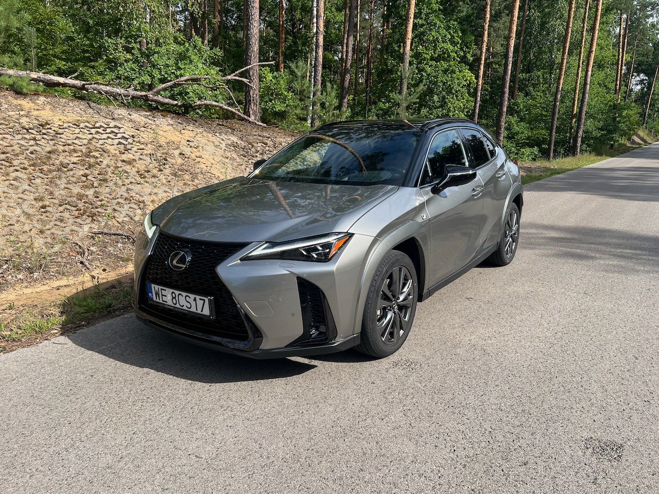 Lexus UX 300h