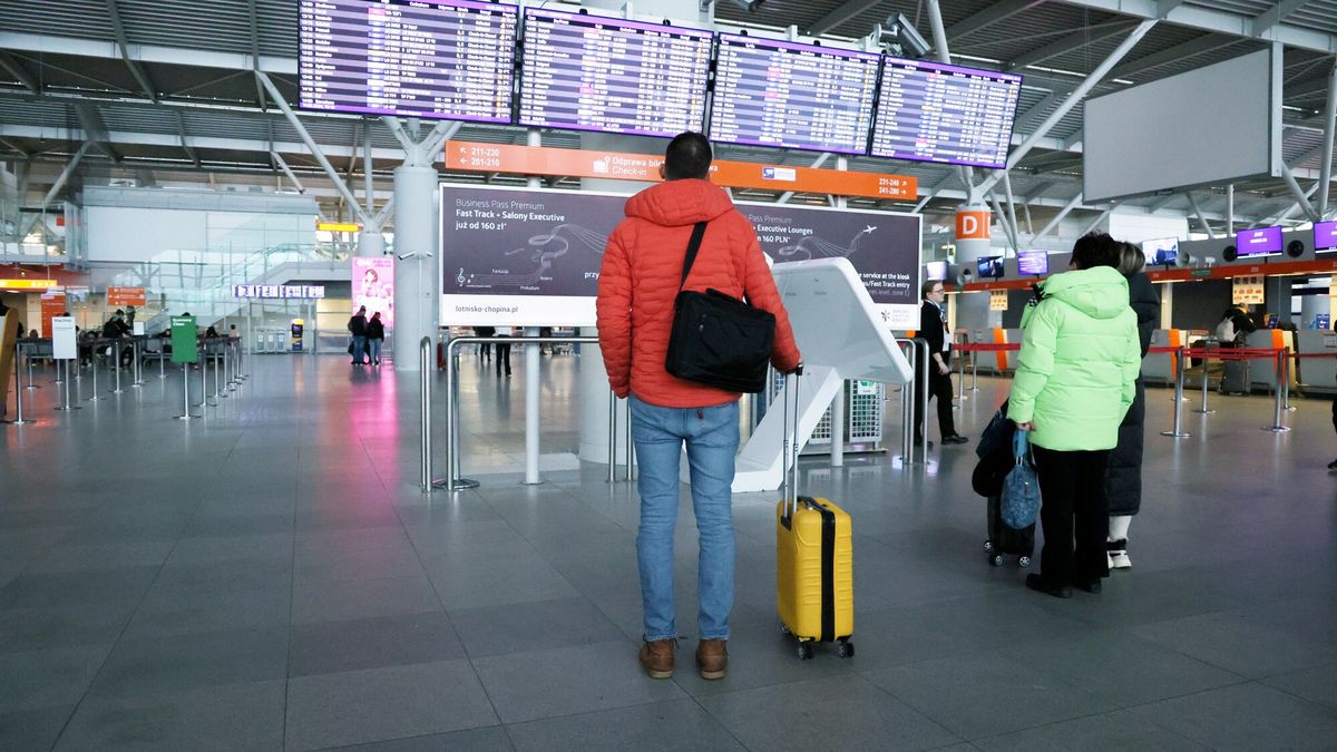 Przewoził w bagażu skórę z pytona