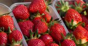Ostatni dzwonek na truskawki. Pyszne, a do tego całkiem tanie