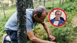 Wysyp w lasach, alarm na toksykologii. "Uszkodzenie wątroby przebiega błyskawicznie"