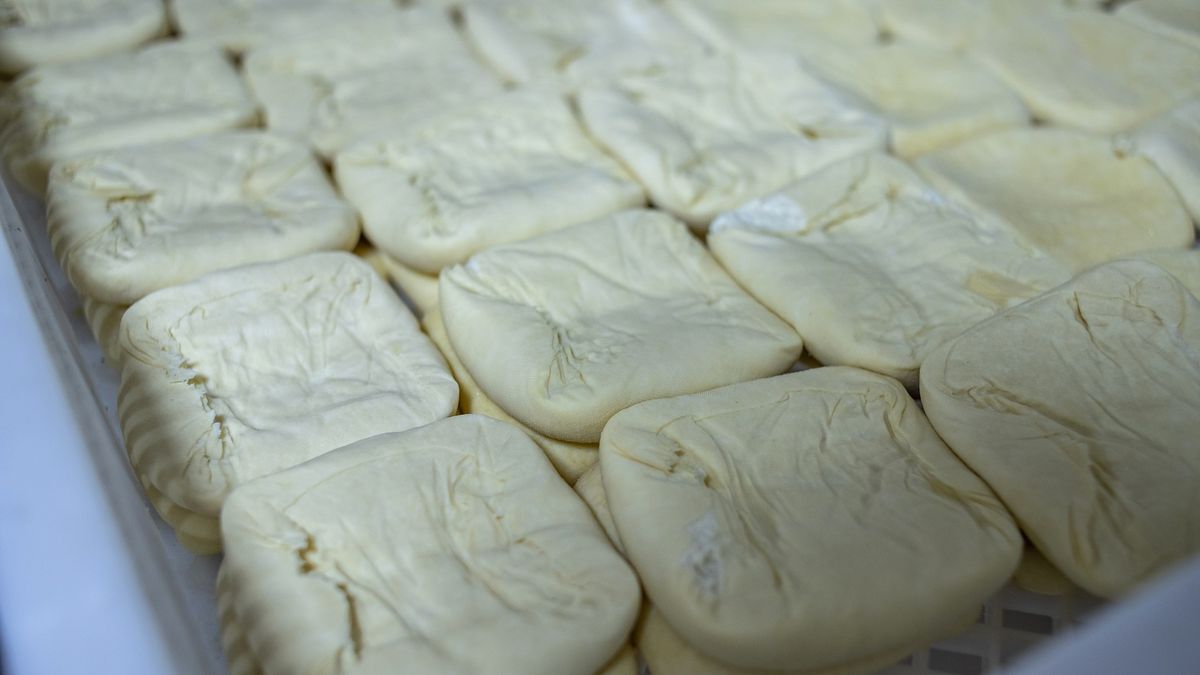 Tofu to jeden z produktów zalecanych w diecie chorujących na zapalenie trzustki