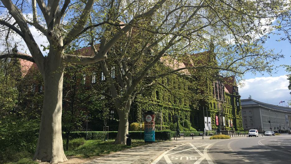 Koronawirus. Wrocław. Muzeum Narodowe otwarte od 12 maja