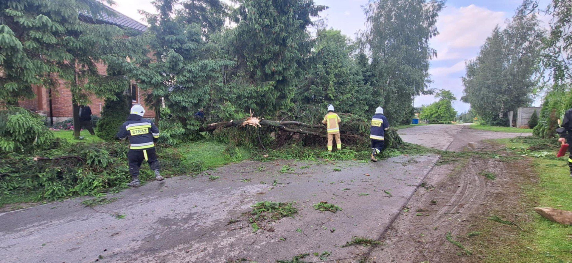 Powalone drzewa po nawałnicy w miejscowości Modliborzyce w powiecie opatowskim