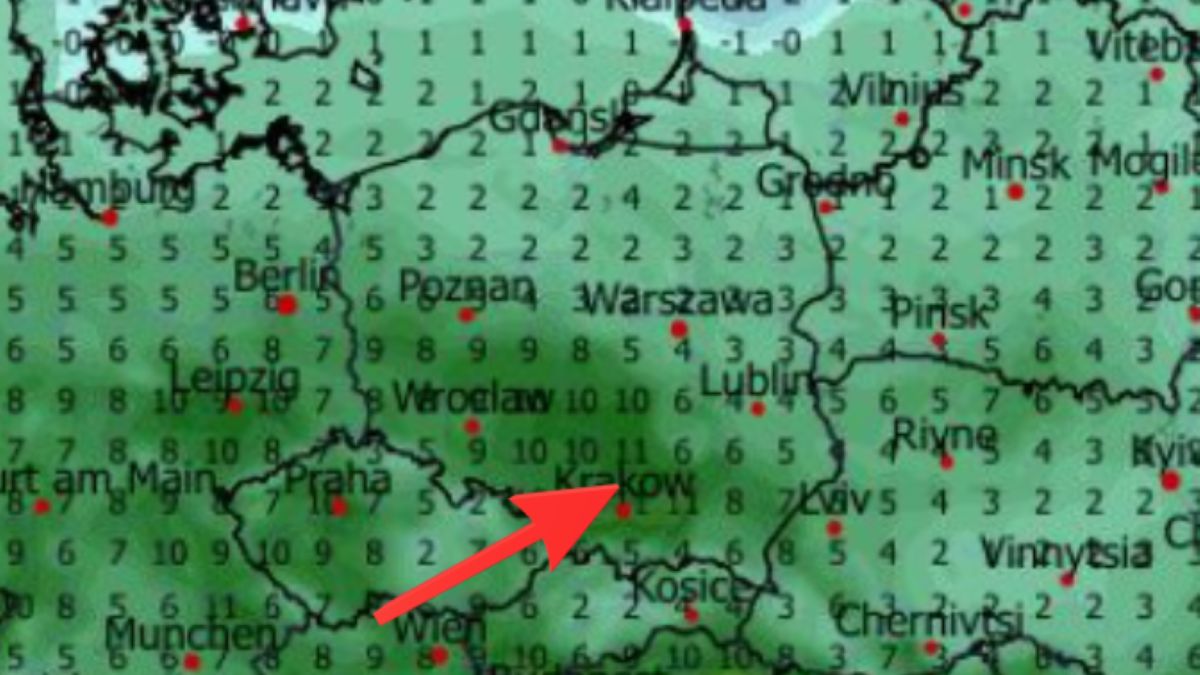Prognoza pogody na 11 i 12 lutego