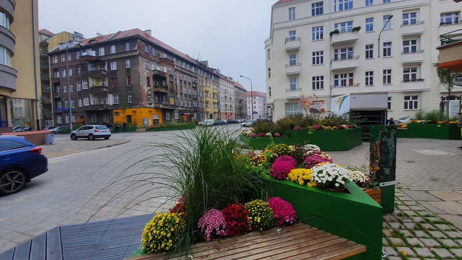 Zamknięte cmentarze. Szybka akcja miasta. Nasadzenia chryzantem od handlarzy kwiatów