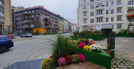 Zamknięte cmentarze. Szybka akcja miasta. Nasadzenia chryzantem od handlarzy kwiatów