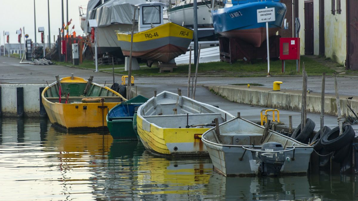 Podejrzenie choroby Zalewu Wiślanego (zdj. ilustracyjne) 