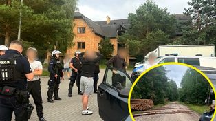 Udaremniona leśna ustawka kiboli. Chuligani blokowali drogę kłodami