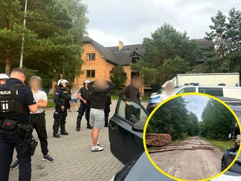 Udaremniona leśna ustawka kiboli. Chuligani blokowali drogę kłodami