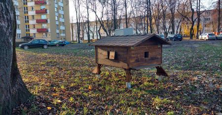 W Lublinie powstają domki dla kotów wolno żyjących. Trwa ich montaż [lokalizacje]