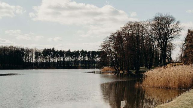 Art Folwark Wojnowo