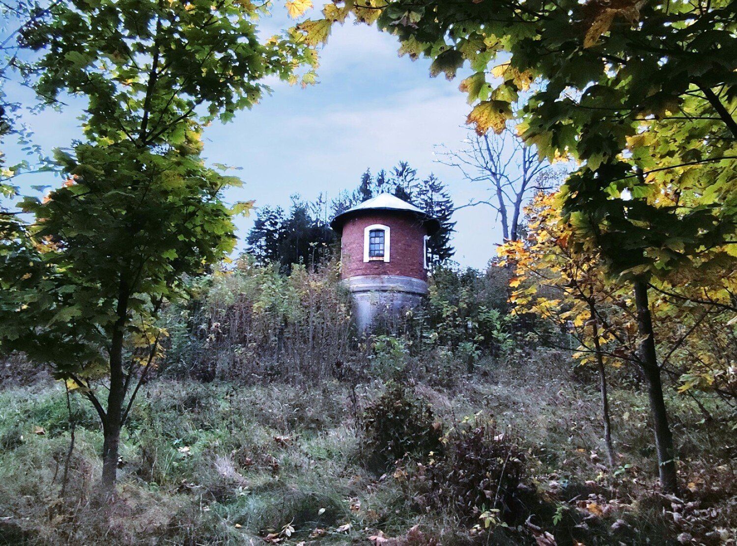 Niepowtarzalny domek Muminków. Podpowiadamy, gdzie na Dolnym Śląsku znajdziesz tę budowlę - zobacz zdjęcia