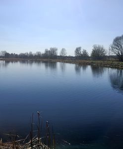 Łódzkie. Tragedia w czasie wesela. W stawie odnaleziono ciało 21-latki