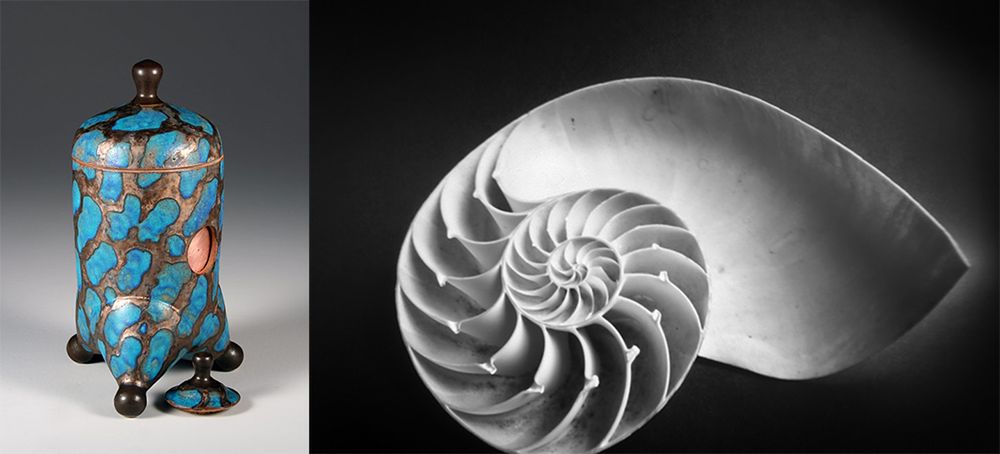 Steve Irvine i jego ceramiczne aparaty. To prawdziwe cuda! 10