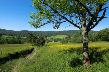 Magurski Park Narodowy: Zamknięty szlak przez wichurę
