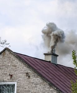 Przepalone miliardy. Na co poszły pieniądze z opłat za emisje CO2?