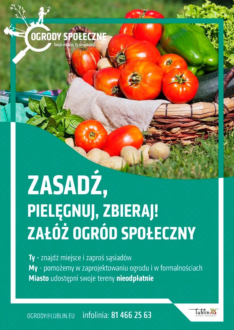 Startuje program zakładania ogrodów społecznych w Lublinie