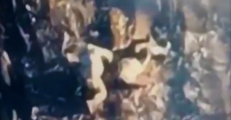 Heroiczna akcja na froncie. Ruszył na pomoc rannemu koledze